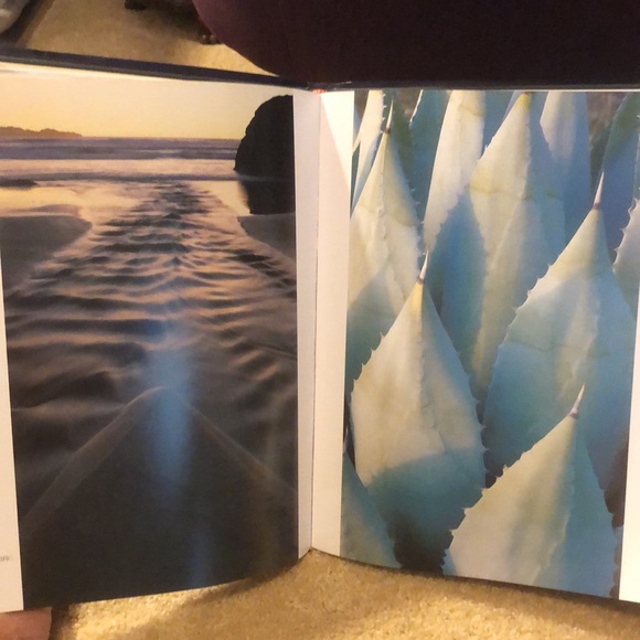 WILD & SCENIC CALIFORNIA THE NATURAL LANDSCAPE • PHOTOGRAPHY BY CARR CLIFTON - Picture 16 of 17